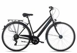 Adler Stanford Trapez