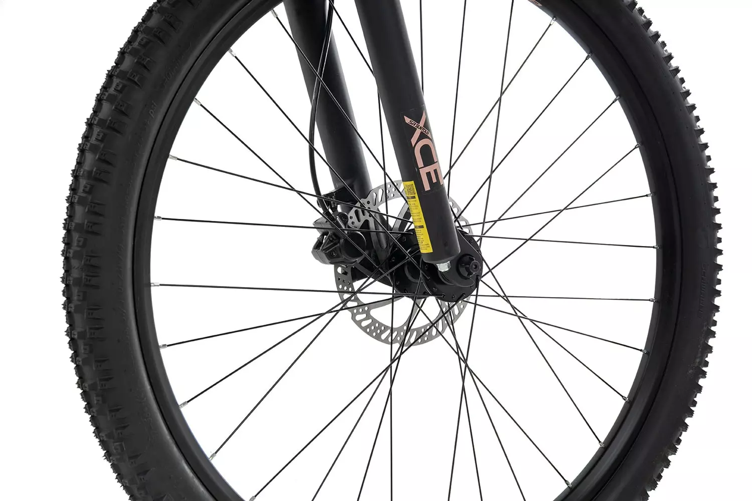 Axess DOREE 2023 5 Axess DOREE 2023 – Bild 3