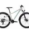 Axess MEEA ATB 2023 -Mountainbike Geschäft axess meea atb 27 5 matt silver 90272 01