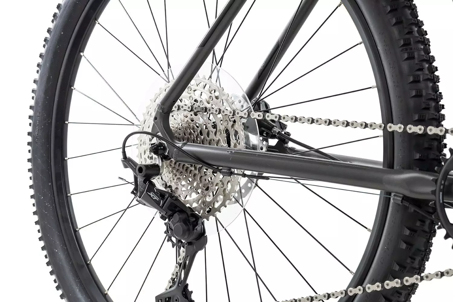 Axess SNIPE 2022 4 Axess SNIPE 2022 – Bild 2