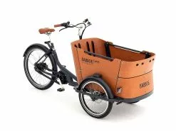 Babboe Curve Mountain ENV HD 500