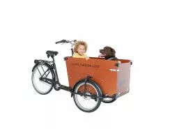 Babboe Dog 7N RB 10 Babboe Dog 7N RB -Mountainbike Geschäft babboe dog 7n rb braun 81017 03