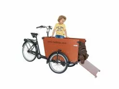 Babboe Dog 7N RB 12 Babboe Dog 7N RB -Mountainbike Geschäft babboe dog 7n rb braun 81017 05