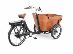 Babboe Flow-E HD 375 | 50 Cm | Braun | 26 Zoll -Mountainbike Geschäft babboe flow e hd 375 braun 82187 03