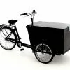 Babboe Pro Trike 300L TB/RB | 50 Cm | Schwarz | 26 Zoll 1 Babboe Pro Trike 300L TB/RB | 50 Cm | Schwarz | 26 Zoll -Mountainbike Geschäft babboe pro trike 300l tb rb schwarz 81821 01
