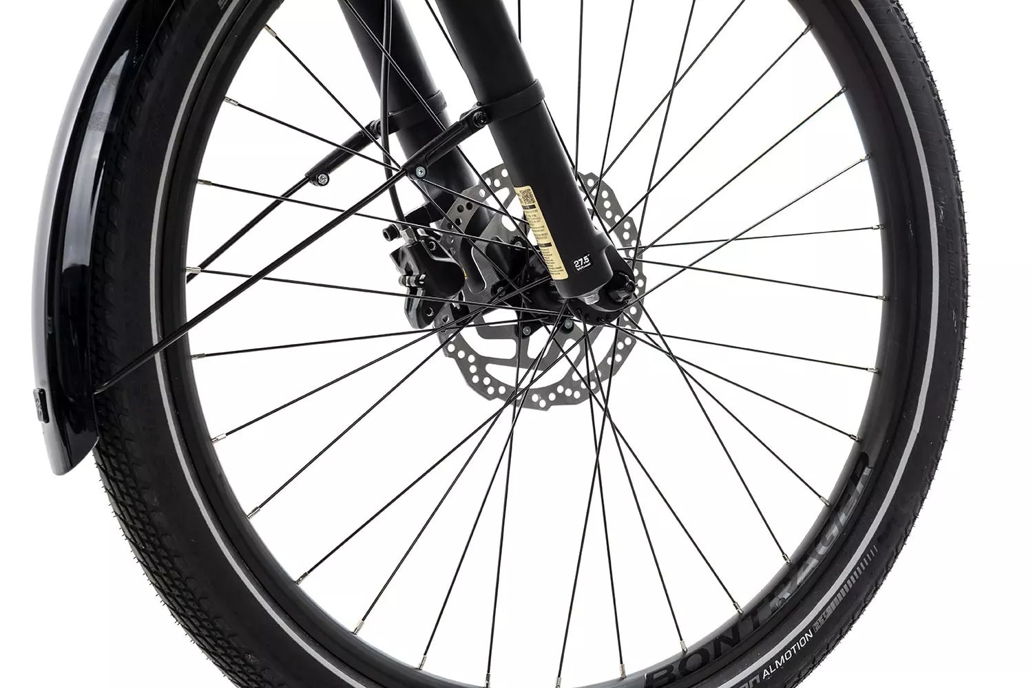 Diamant Zing+ Trapez 2022 5 Diamant Zing+ Trapez 2022 – Bild 3