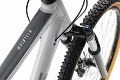 Focus WHISTLER 3.8 2022 -Mountainbike Geschäft focus whistler 3 8 29 litegrey 87399 06