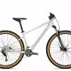 Focus WHISTLER 3.8 2022 -Mountainbike Geschäft focus whistler 3 8 litegrey 87398 87399 01