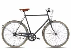 Gazelle Van Stael V7 2023