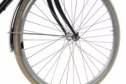 Gazelle Van Stael V7 2023 -Mountainbike Geschäft gazelle van stael v7 dust light 82608 03