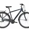 Raleigh CHESTER 7 R 2022