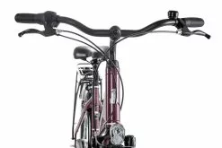 Raleigh CHESTER 7 R Wave 2022 -Mountainbike Geschäft raleigh chester 7 r wave cassis 87510 04