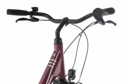 Raleigh CHESTER 7 R Wave 2022 -Mountainbike Geschäft raleigh chester 7 r wave cassis 87510 05