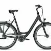 Raleigh CHESTER 8 XXL R Wave 2022