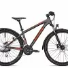 Raleigh DAYMAX 2022 | 48 Cm | Jetgrey Matt | 29 Zoll -Mountainbike Geschäft raleigh daymax jetgrey matt 84080 01