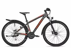 Raleigh DAYMAX 2022 | 48 Cm | Jetgrey Matt | 29 Zoll