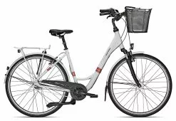 Raleigh UNICO LIFE Wave | 55 Cm | Lightgrey Matt | 28 Zoll