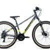 SCool Xroc Alloy 26-24 | 45 Cm | Grey/lemon | 26 Zoll