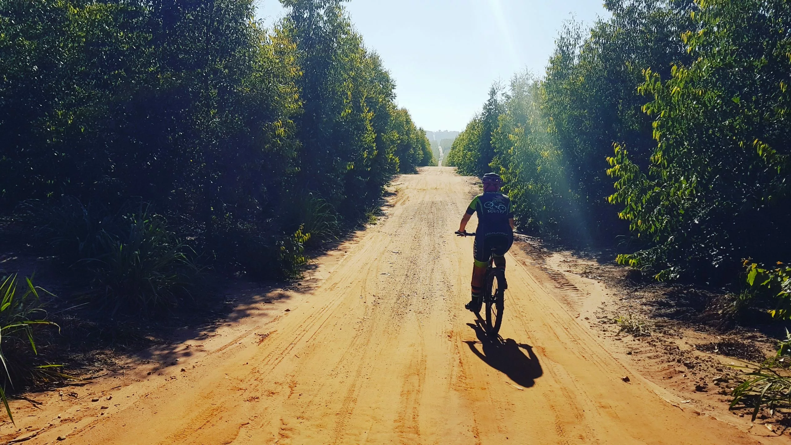 Mountainbike Geschäft -Mountainbike Geschäft pexels photo 10990198 scaled